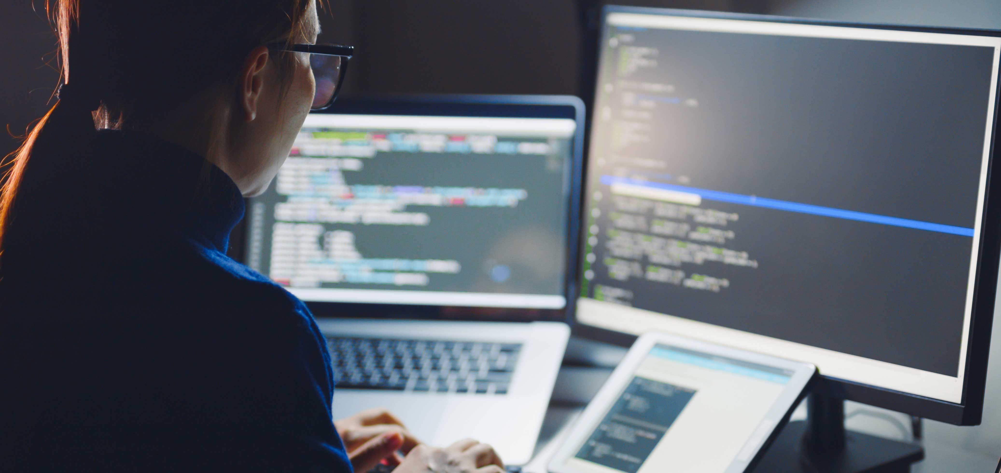 Programmering, 20 studiepoeng